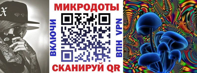 купить закладку  Верея  Псилоцибиновые грибы ЛСД 